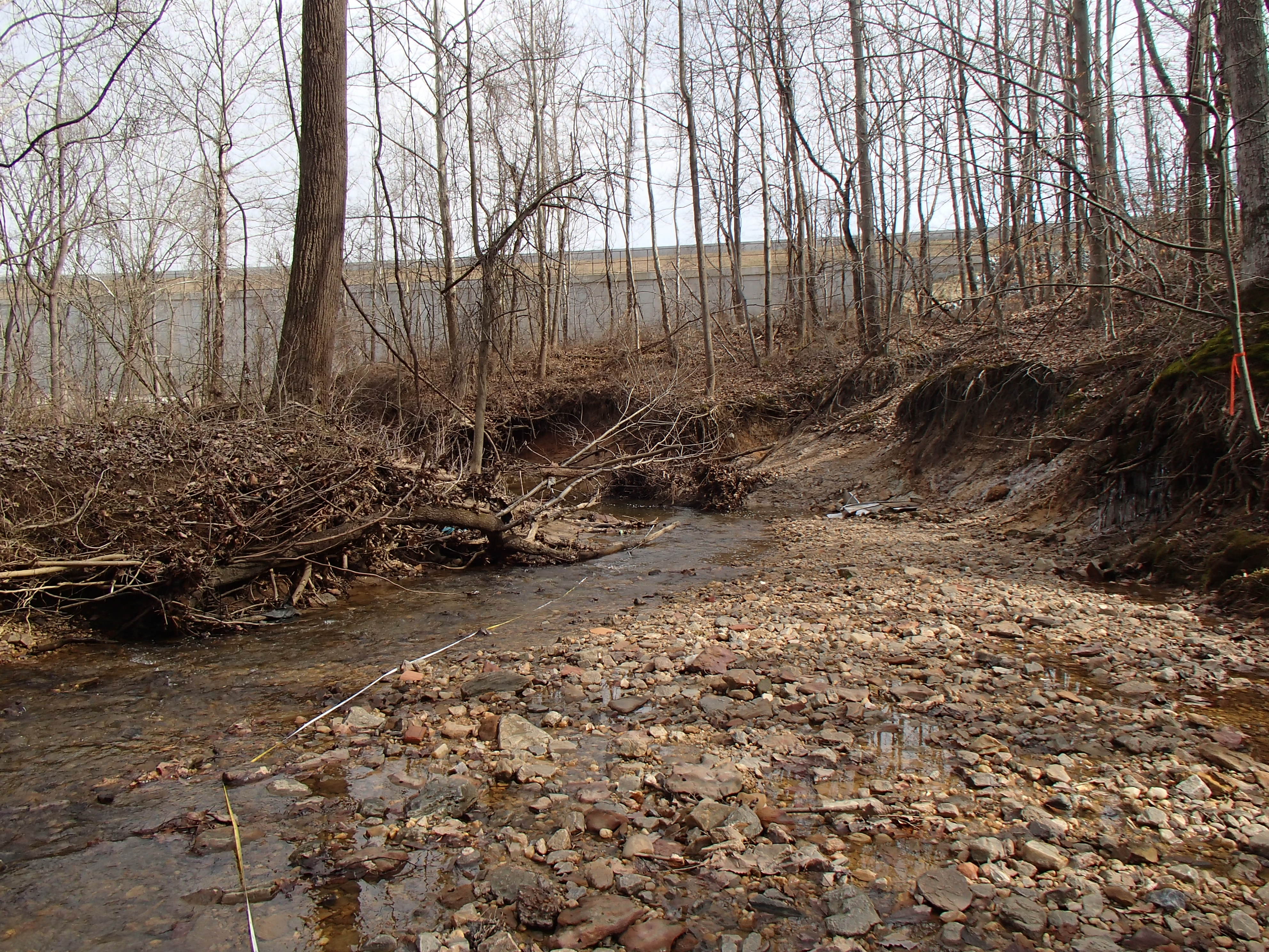 Field photo showing stream conditions at site BIRD-107-R-2016_midpoint downstream
